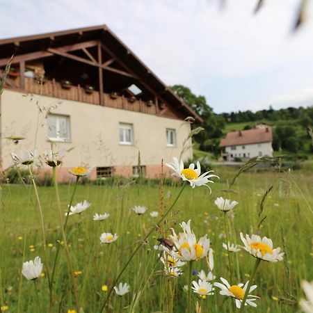 Les Chantenees La Bresse Exteriér fotografie