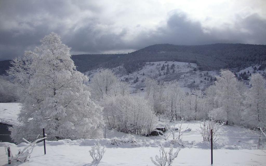 Les Chantenees La Bresse Exteriér fotografie