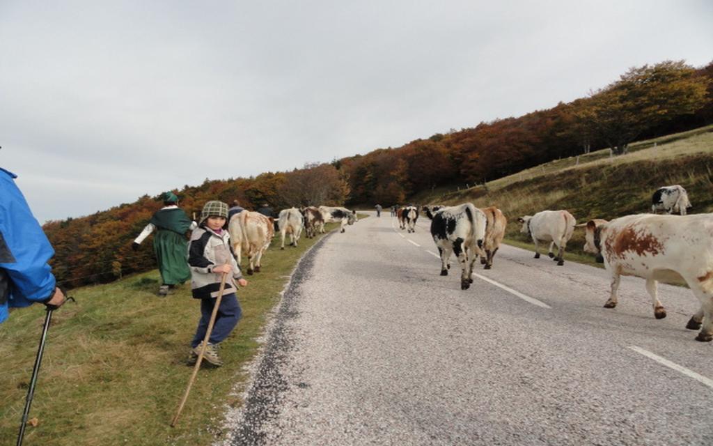 Les Chantenees La Bresse Exteriér fotografie