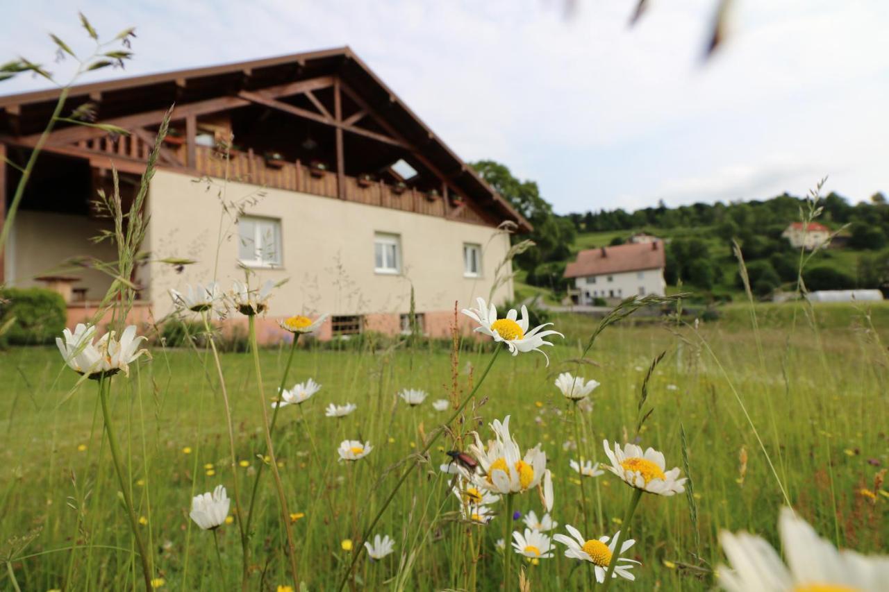 Les Chantenees La Bresse Exteriér fotografie