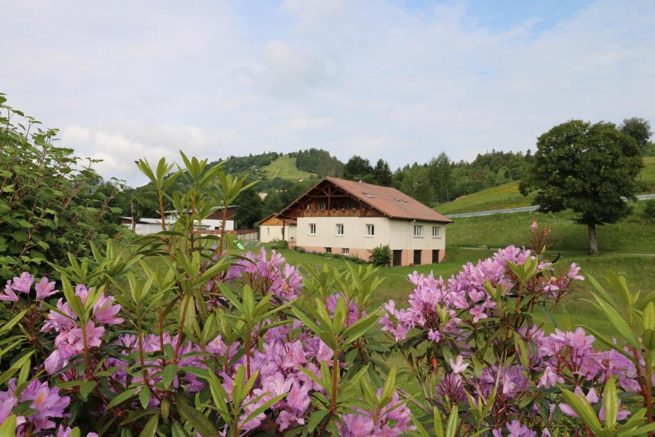 Les Chantenees La Bresse Exteriér fotografie