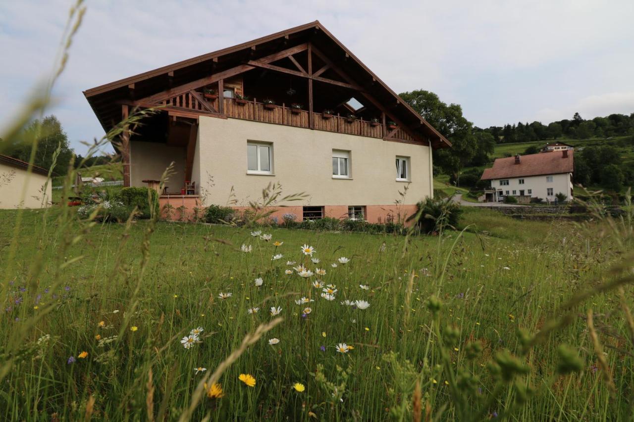 Les Chantenees La Bresse Exteriér fotografie